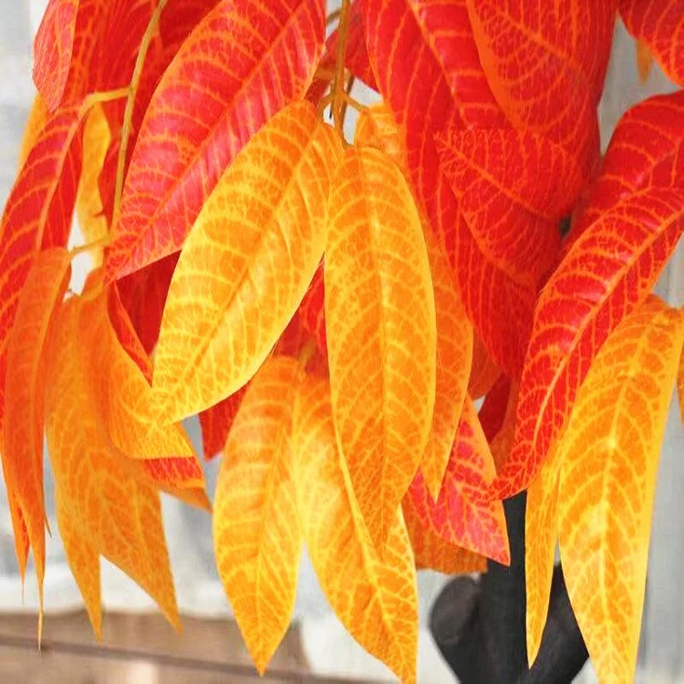 Hotselling Chinese Maple Tree For Wedding Decoration Large Red Leaf Tree