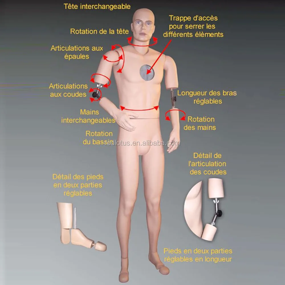 
posable artificial museum male mannequin 