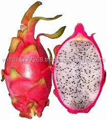 EXPORT FRESH DRAGON FRUIT / PITAYA WITH THE HIGH QUALITY and COMPETITIVE PRICE 2021