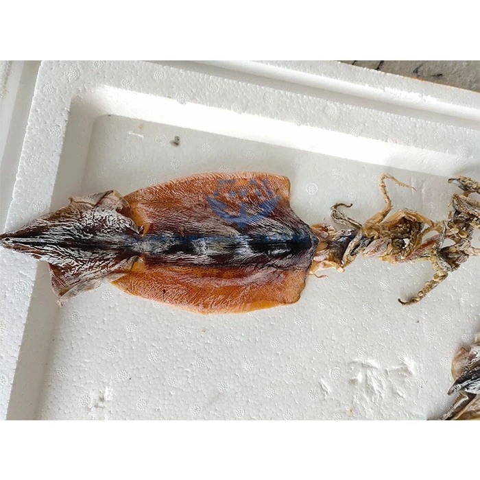 
Moisture Dried todarodes squid 