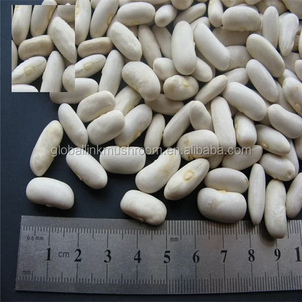 2017 New Crop Japanese White Kidney Beans