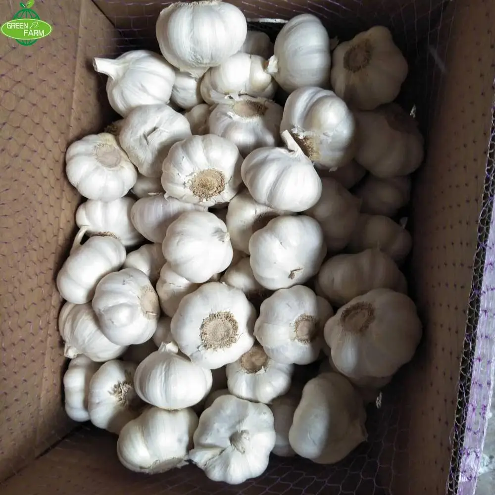 2023 New Fresh White Garlic in 10kg bags