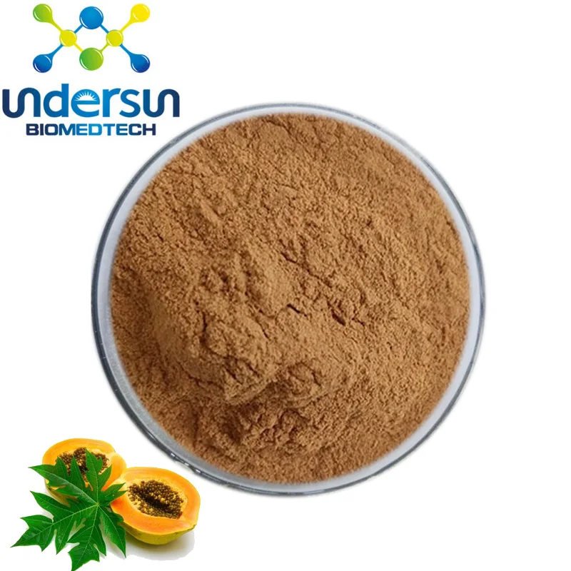 Factory Supply Organic Papaya Leaf Extract Powder