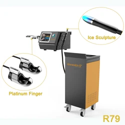 Factory Price GOLDEN FINGER Beauty Equipment EMS Pore Remover Machine for Facial and Body Treatments US Plug