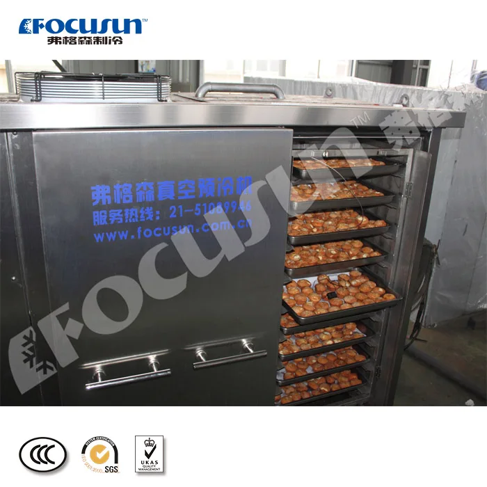 vavuum cooler for cooked food factory provide good price