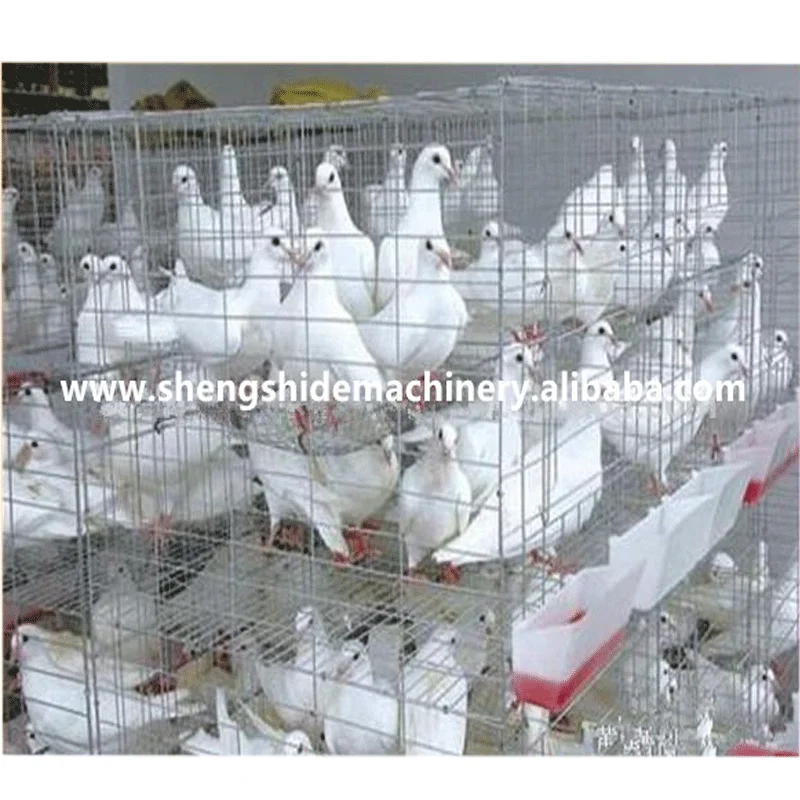 high quality direct produce pigeon breeding cage design