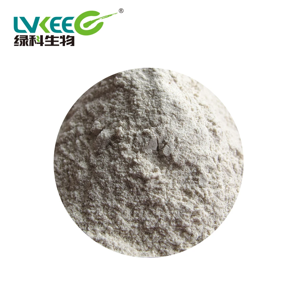 China Alibaba High Quality Bacillus amyloliquefaciens