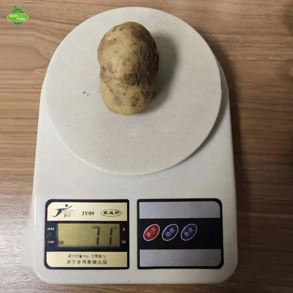 Fresh potato seed,potato seeds for sale