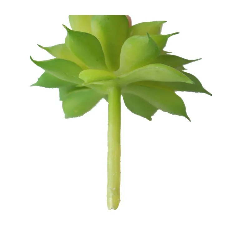 YO CHO Wholesale Green Echeveria Korea Cactus Succulent Plants Picks Wall Cheap Artificial Succulents Set For Amazon Sale