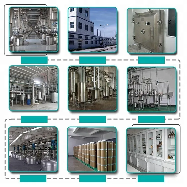 
Factory Supply 6% Royal Jelly Powder 