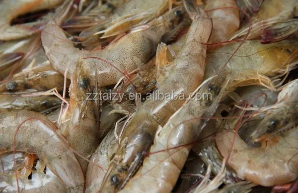 high protein fish meal / fish feed machine processing line / fish pellet mill machine