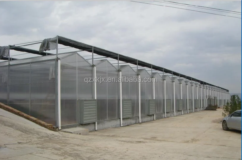 Agricultural Greenhouses polytunnel green house polycarbonate greenhouse