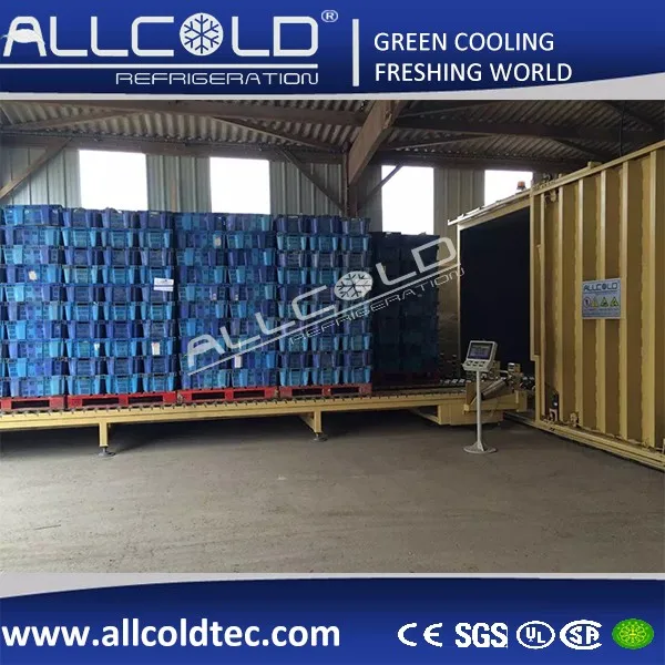 Allcold Vacuum Chiller Pre Cooler for Leafy Vegetables/Broccoli/Cauli Flower/Mushrooms