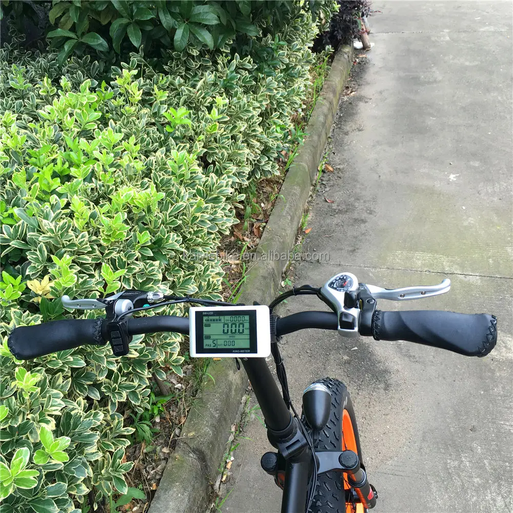 E Bike Beachpolo Shirtsth Fender Lithium Battery Rear Hub Motor Aluminum Alloy 36V 2023 Hottest Susoension 4.0 Fat Tire Folding