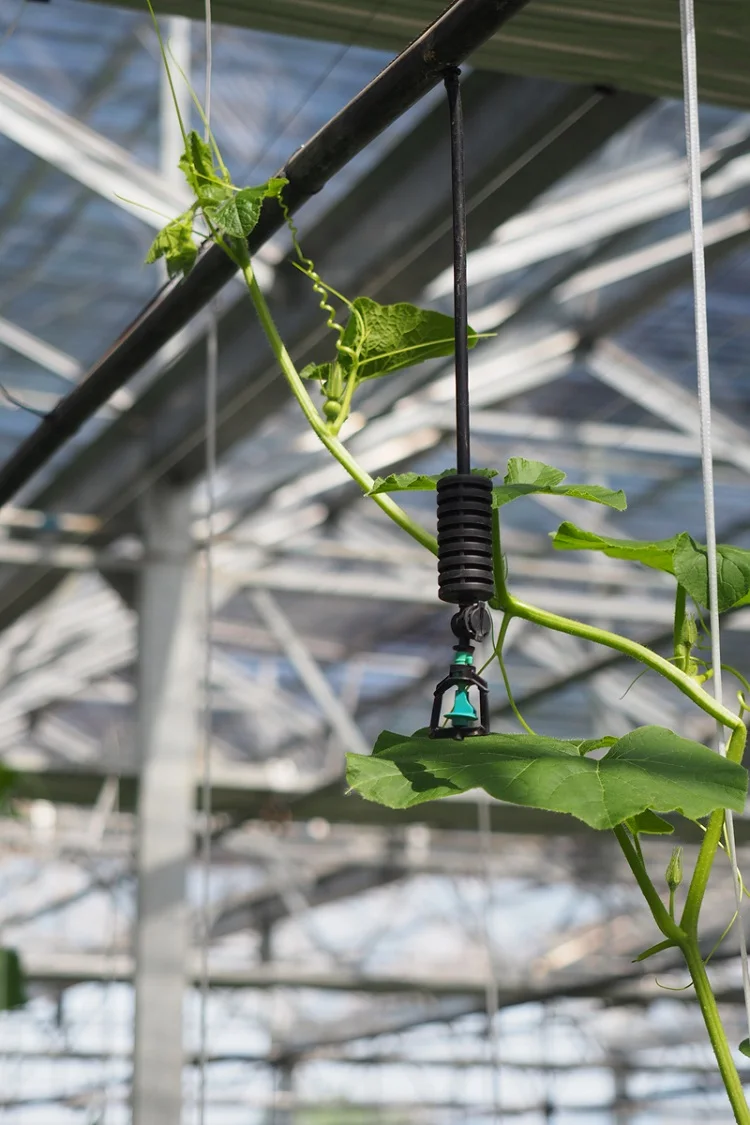 Drip irrigation water system Dynamic Mini Sprinkler with Stake Assembly water system