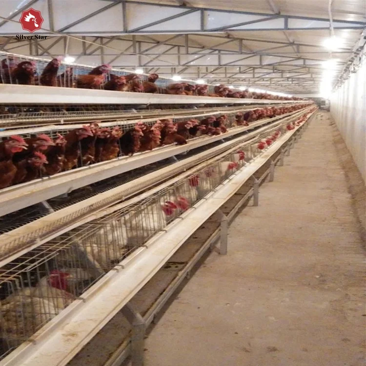 Poultry battery laying chicken cage for automatic livestock raising equipment