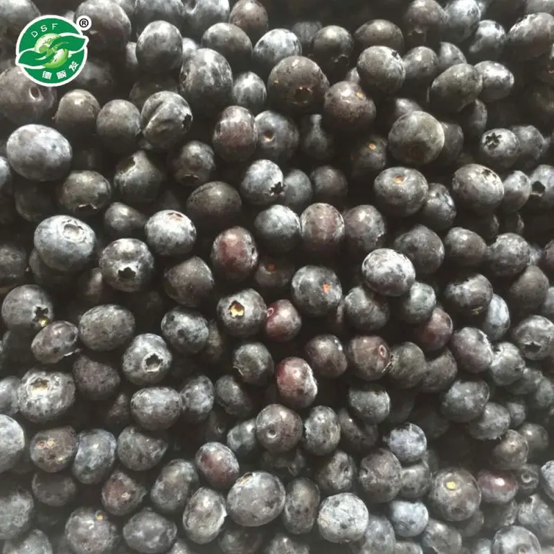 Горячий Продавать Все Нормальные Размеры лучшая цена китай замороженные дикой черники для горячей продажи
