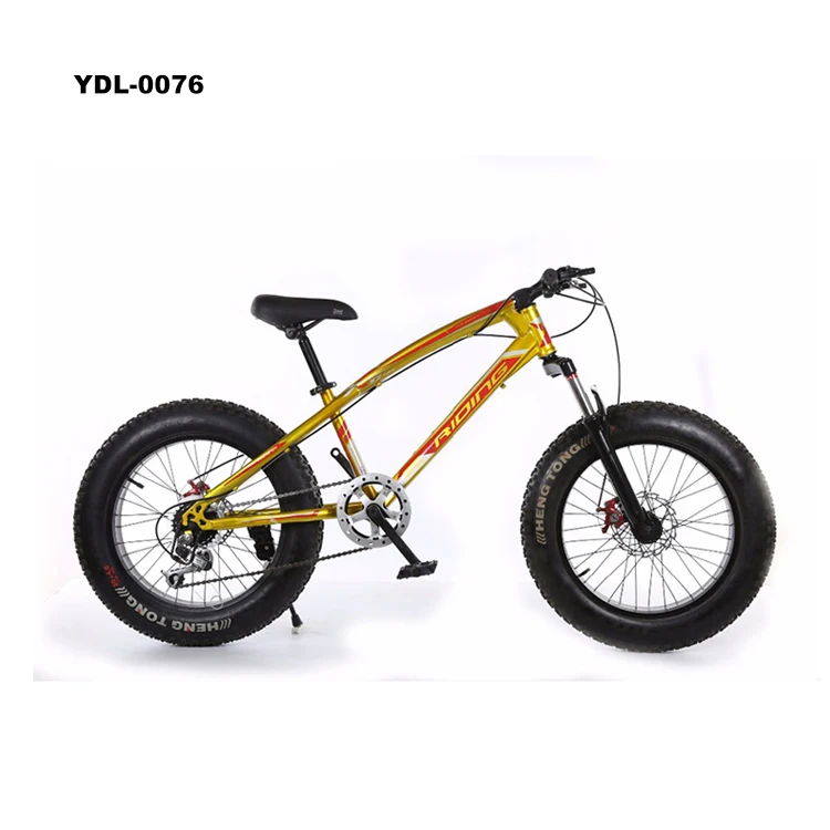 
Factory Double Disk Bikes 20 Inch Beach Bicycle Fat Tire Snow Mountain Bike 