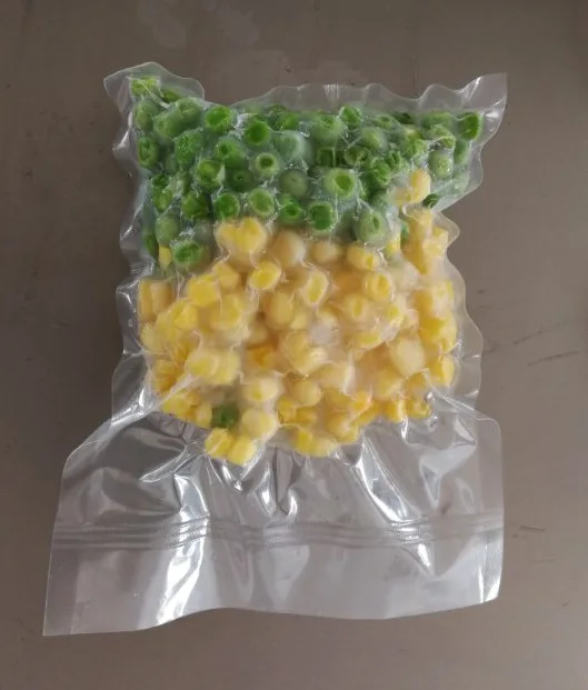 DZ-350/GS Floor Type Food mini Vacuum sealer Packaging Machine Small Vacuum Sealing Packing Machine China Fresh fruit