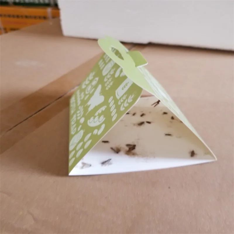 Clothes Moth and Pantry Moth Pheromone Glue Traps Paper material 29.7x11cm 1pcs per foilbag 6pcs per color box