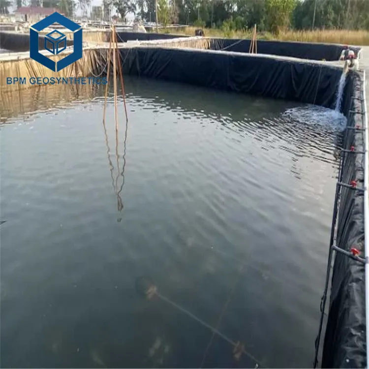 UV resistant 0.75mm HDPE Geomembrane Fish Pond Liner