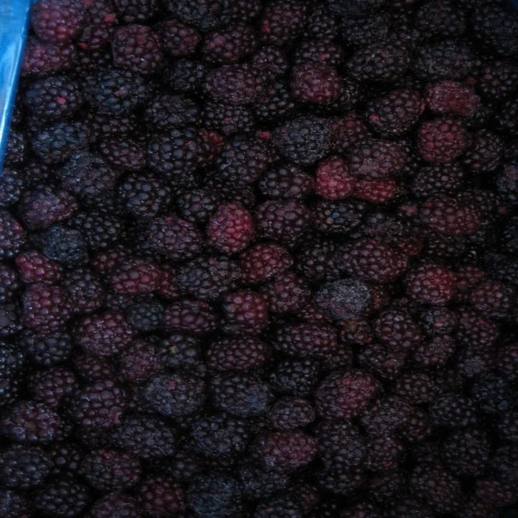
Blackberry Frozen Fruit/IQF 