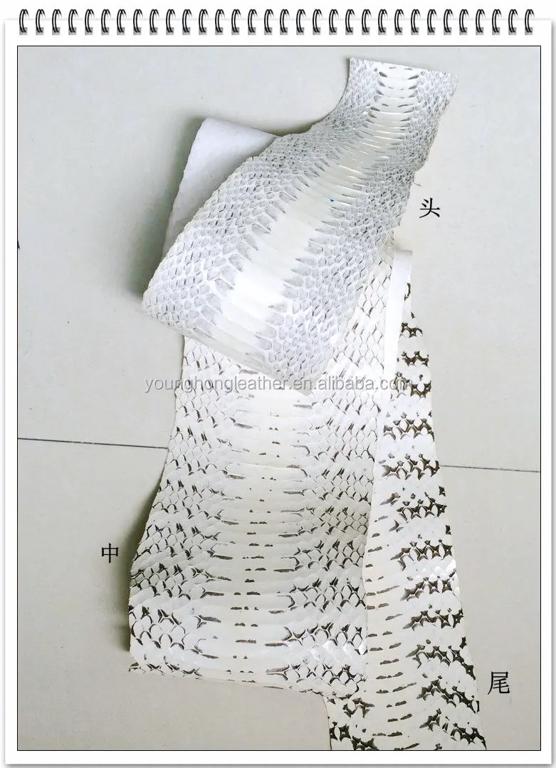 Different kinds of Real Snake Skin Crusts for Shoes upper