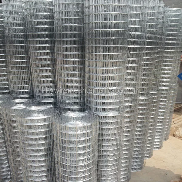 Alibaba China Anping factory direct supplier galvanized welded wire mesh in roll for bird cages