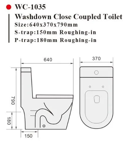 WC-1035 One Piece Toilet with Geberit or R&T Flush Valve Soft Closing Seat Cover Ramp Down Closer  Water Closet Toilet Bowl