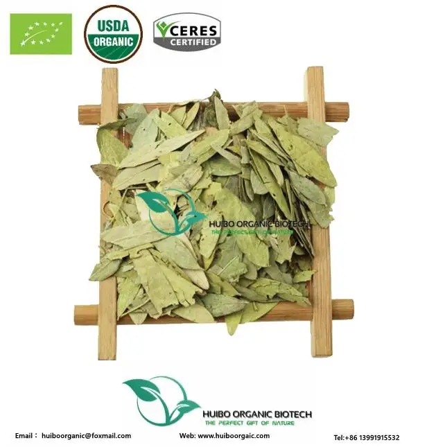 Senna Leaf raw / powder /senna tea / senna extract
