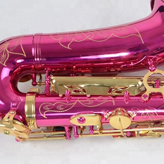 
Accept OEM Dasheng Music DSAS-711PR Pink Red Sax Body Gold Keys Alto Saxophone 