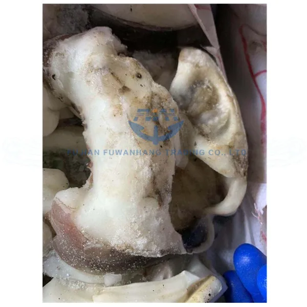 
Frozen squid neck meat 