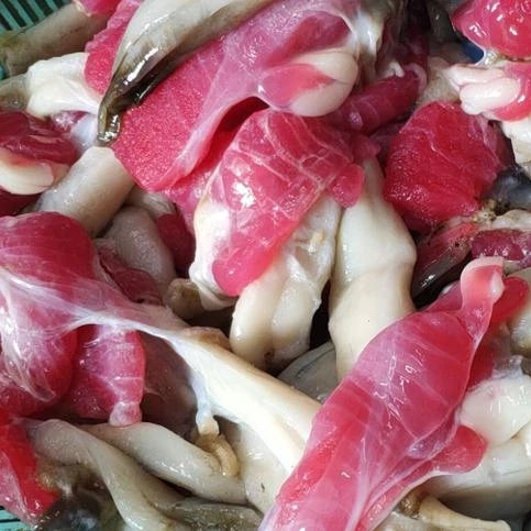 Frozen indian ocean black squid egg