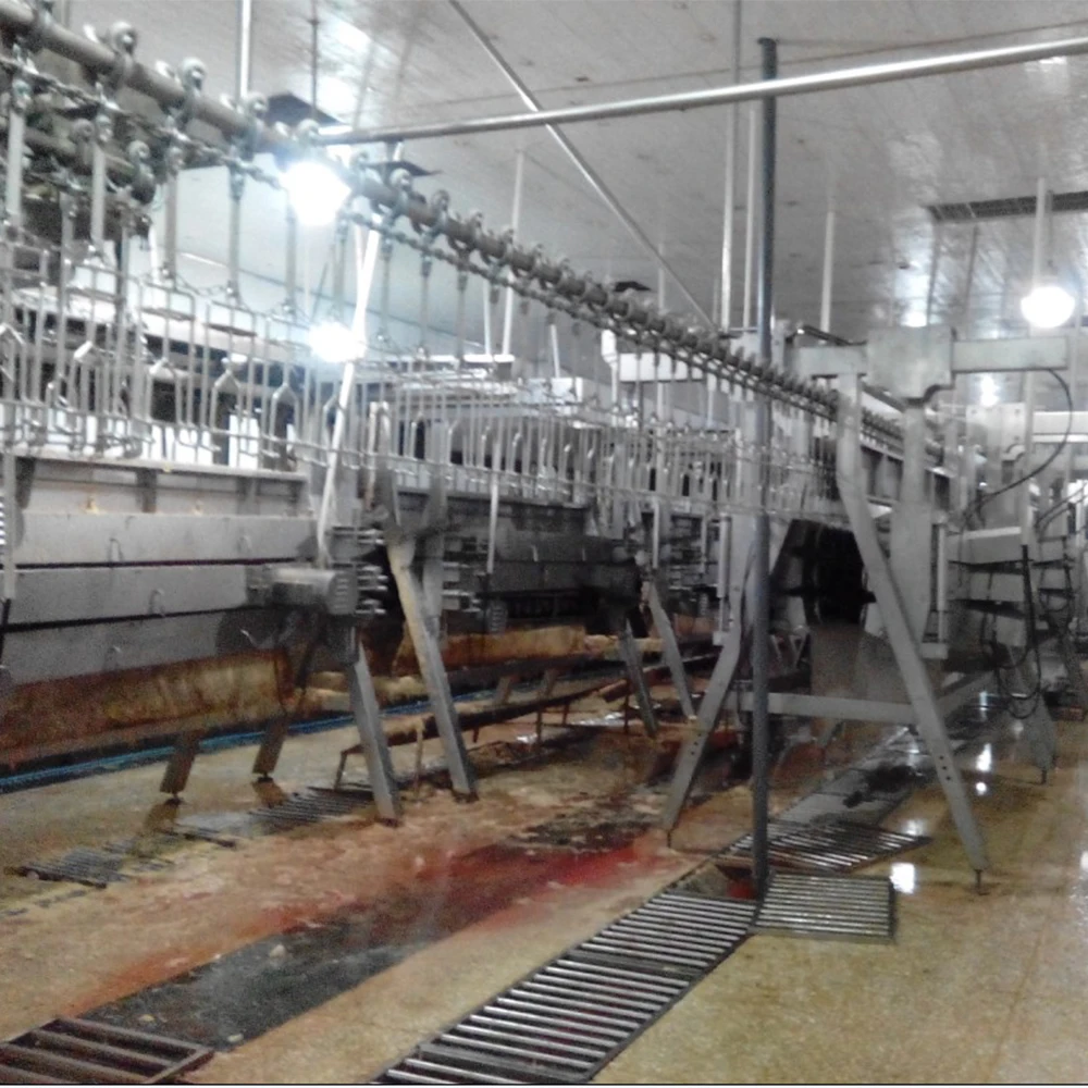 Poultry farm agriculture chicken quail goose turkey slaughterhouse processing plant equipment
