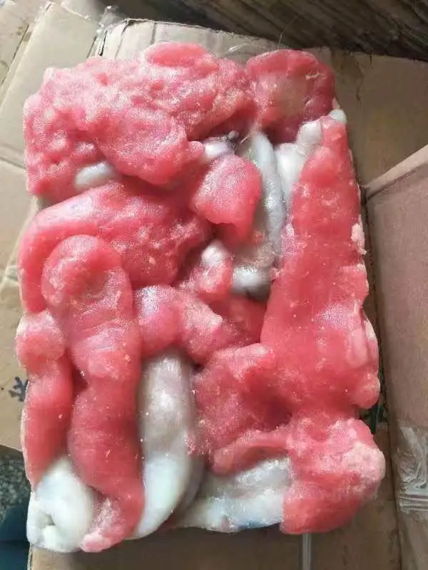 Frozen indian ocean black squid egg