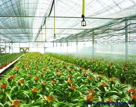 
Drip Horticultural greenhouse planting sprinkler irrigation system 