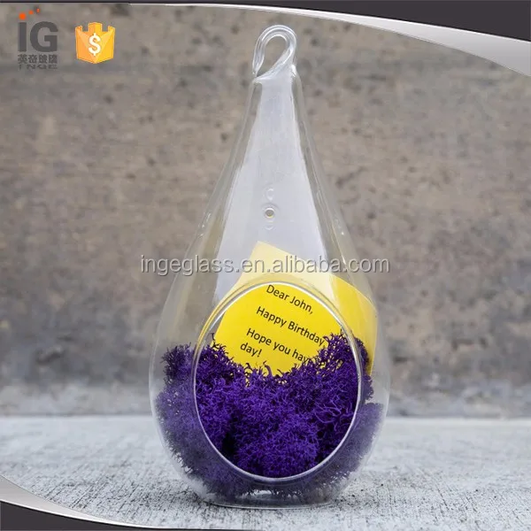 Cheap drop glass terrarium air plant succulent terrarium