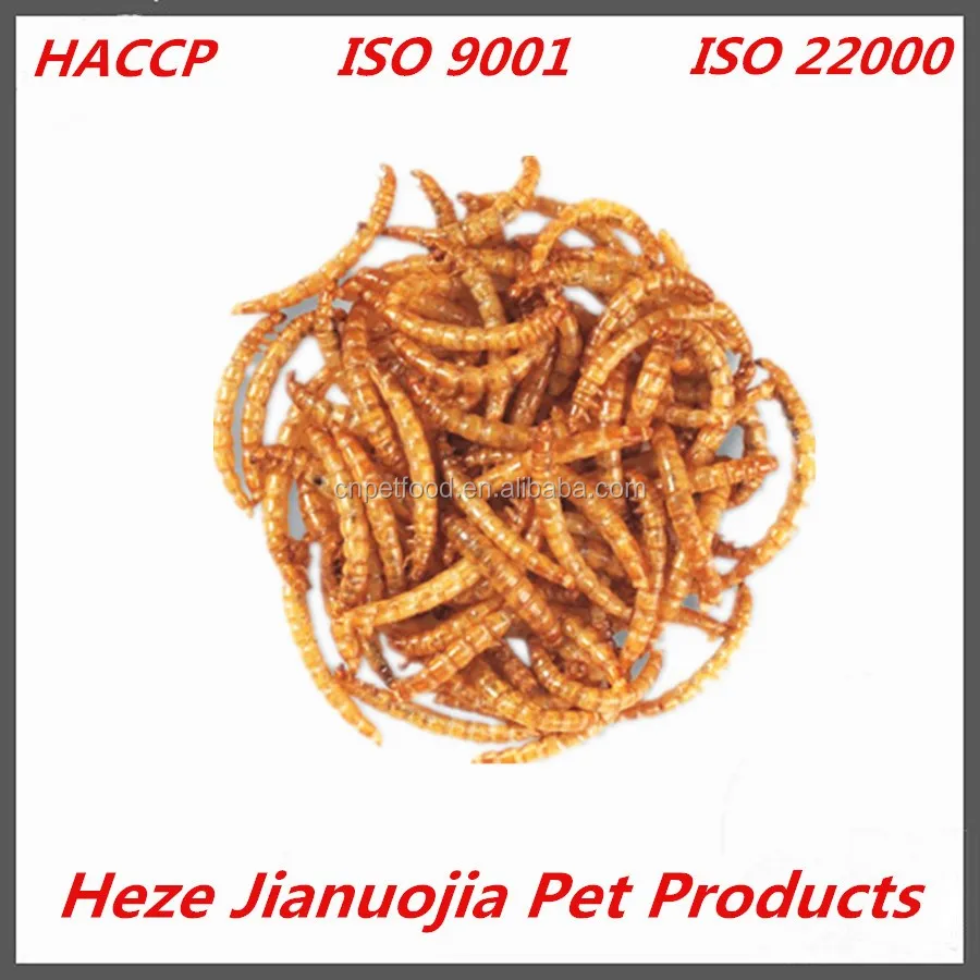 Tenebrio Molitors Mealworms Wholesale Edible Dried Insects