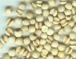 Best face cream for skin whitening Serum Face Cream Moisturizing Skin