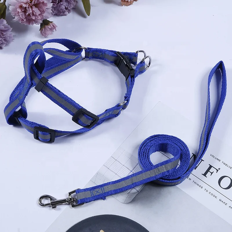 M4 Strong Nylon Dog Leash with Comfortable Neoprene Padded Handle