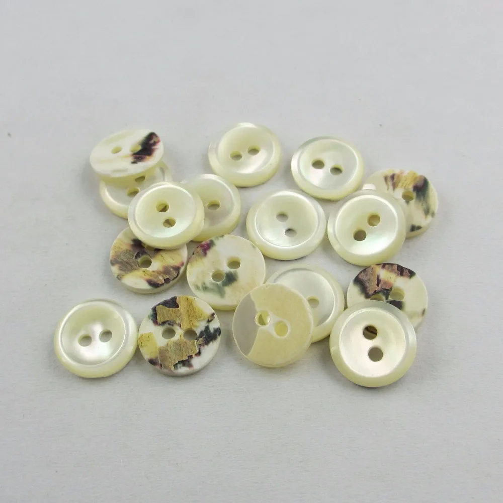 nature sea trocas shell button