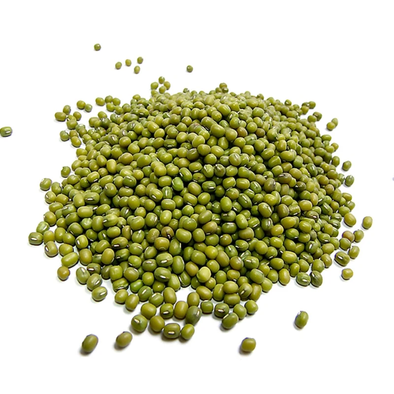 Factory Wholesale High Quality Green Mung Beans For Sprouting