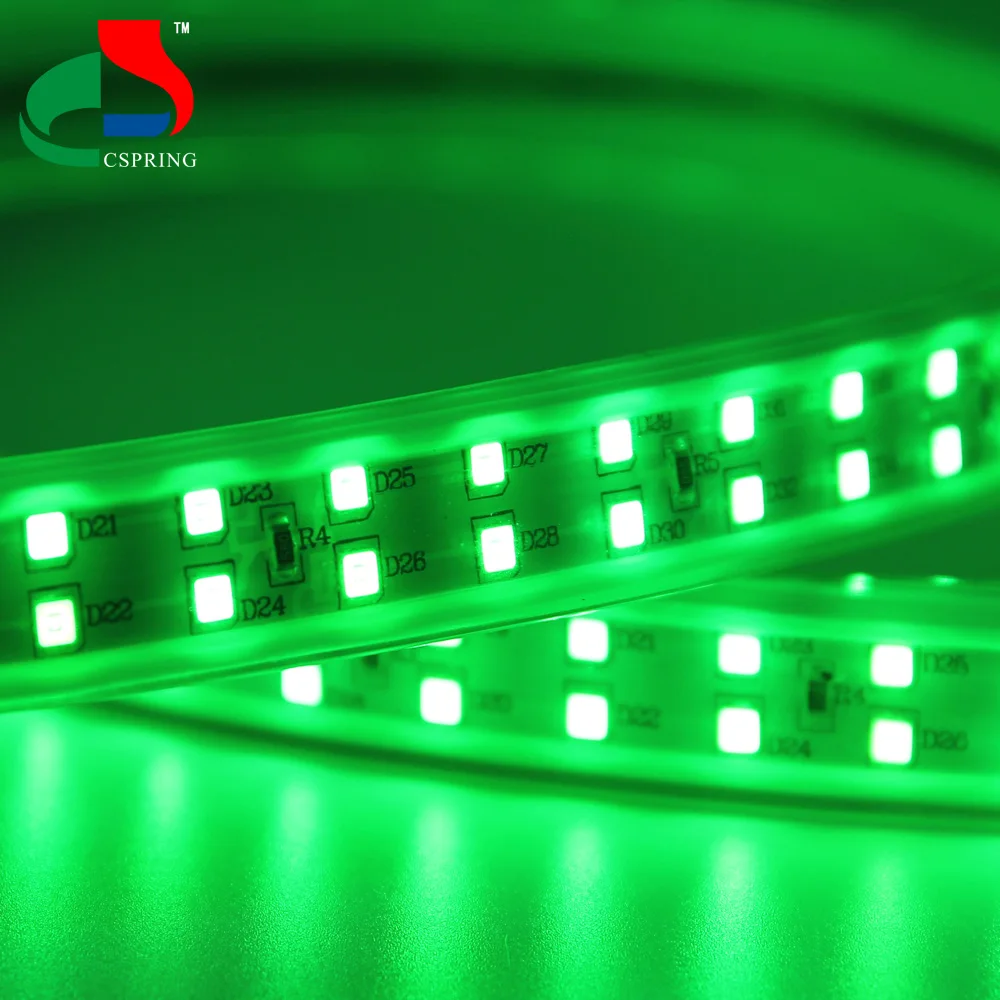 AC220v Blue Green Warm white Double rows SMD2835 12W/M led strip light for outdoor
