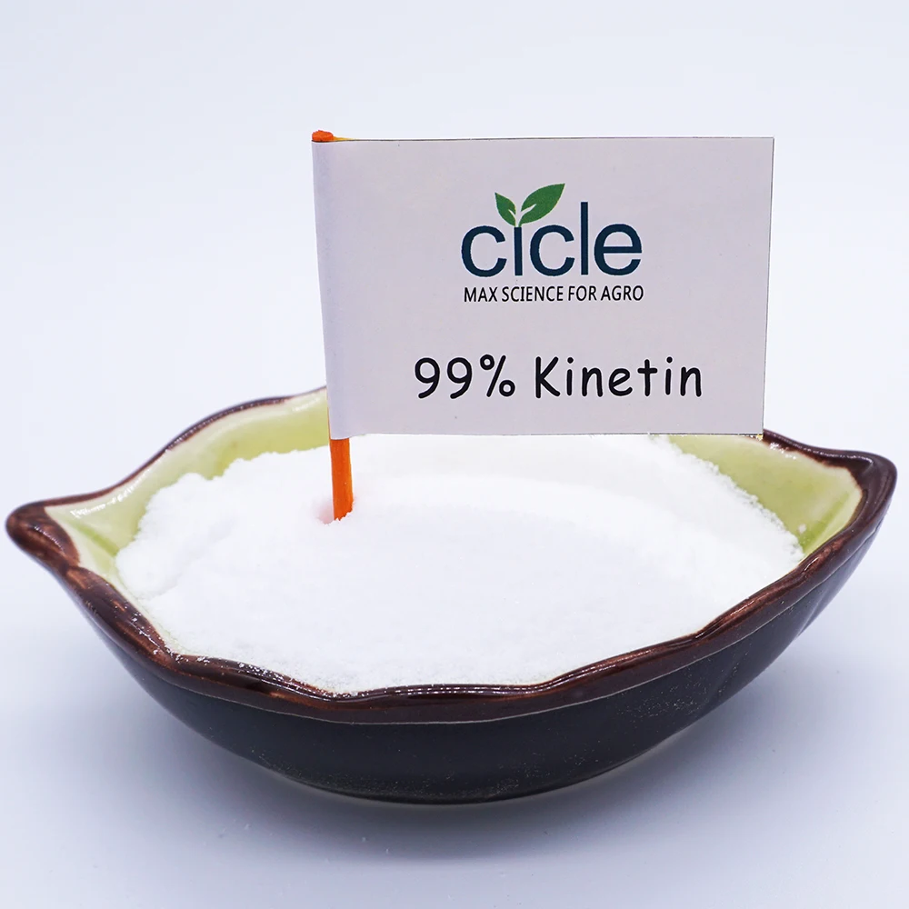 Free sample available kinetin cytokinin  CTK 99%TC plant growth regulator