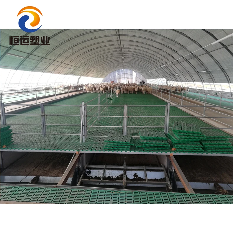 High impact plastic slat floor goat sheep pig sheds use size 50*60cm for livestok farm