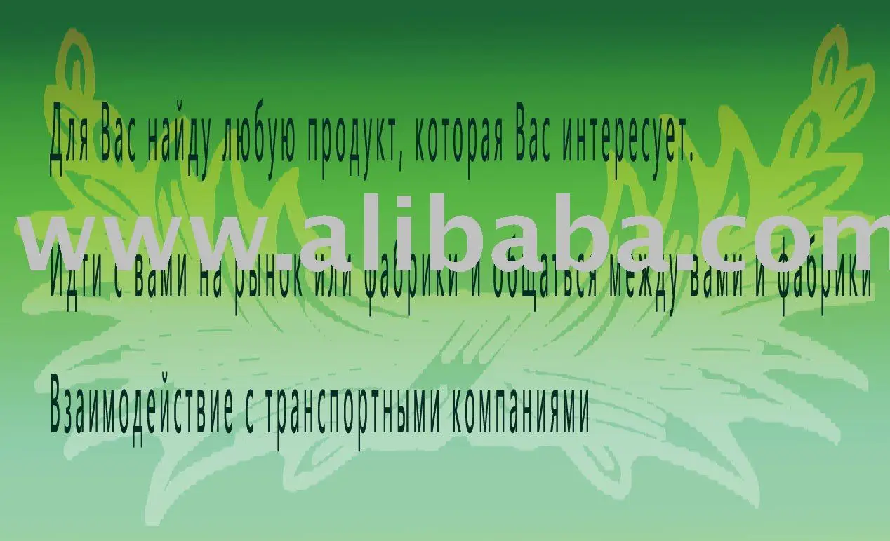 Translation