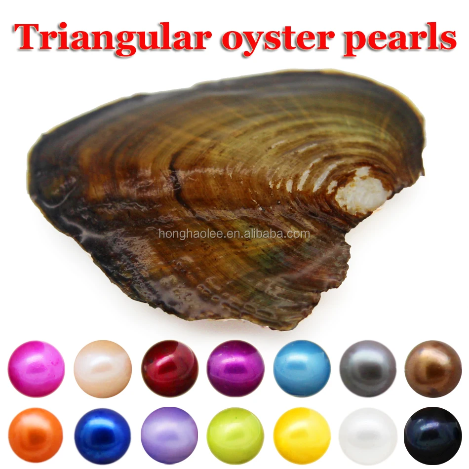 Fancy Gift Akoya High quality cheap love freshwater shell pearl oyster 6-8mm mixed colors pearl oyster with vacuum packaging