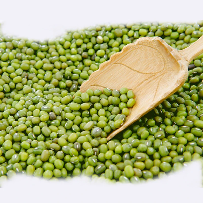 Grade A organic round green beans