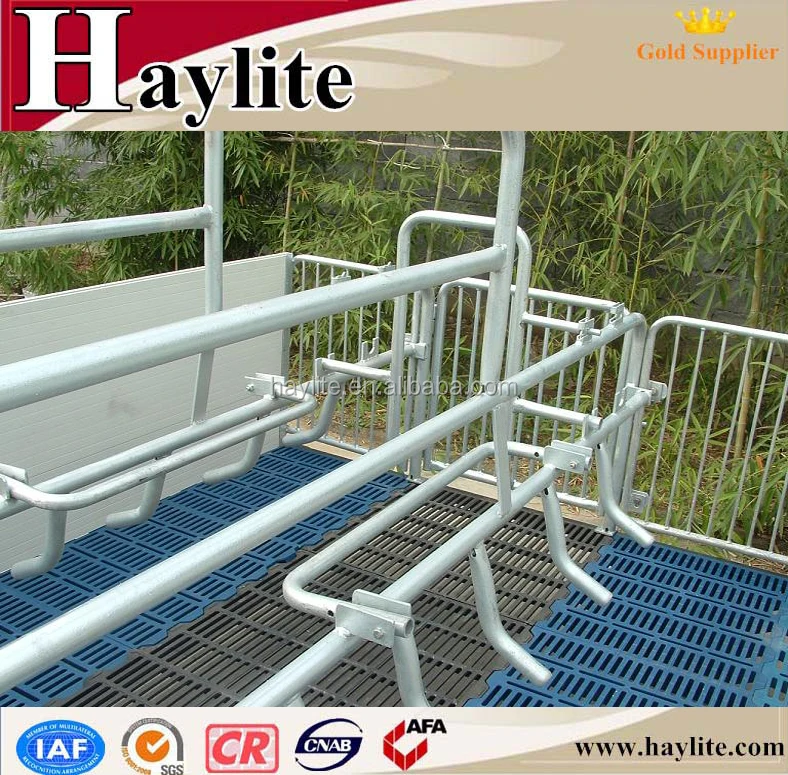 Wholesale PVC board steel sow farrowing crates for mother pig