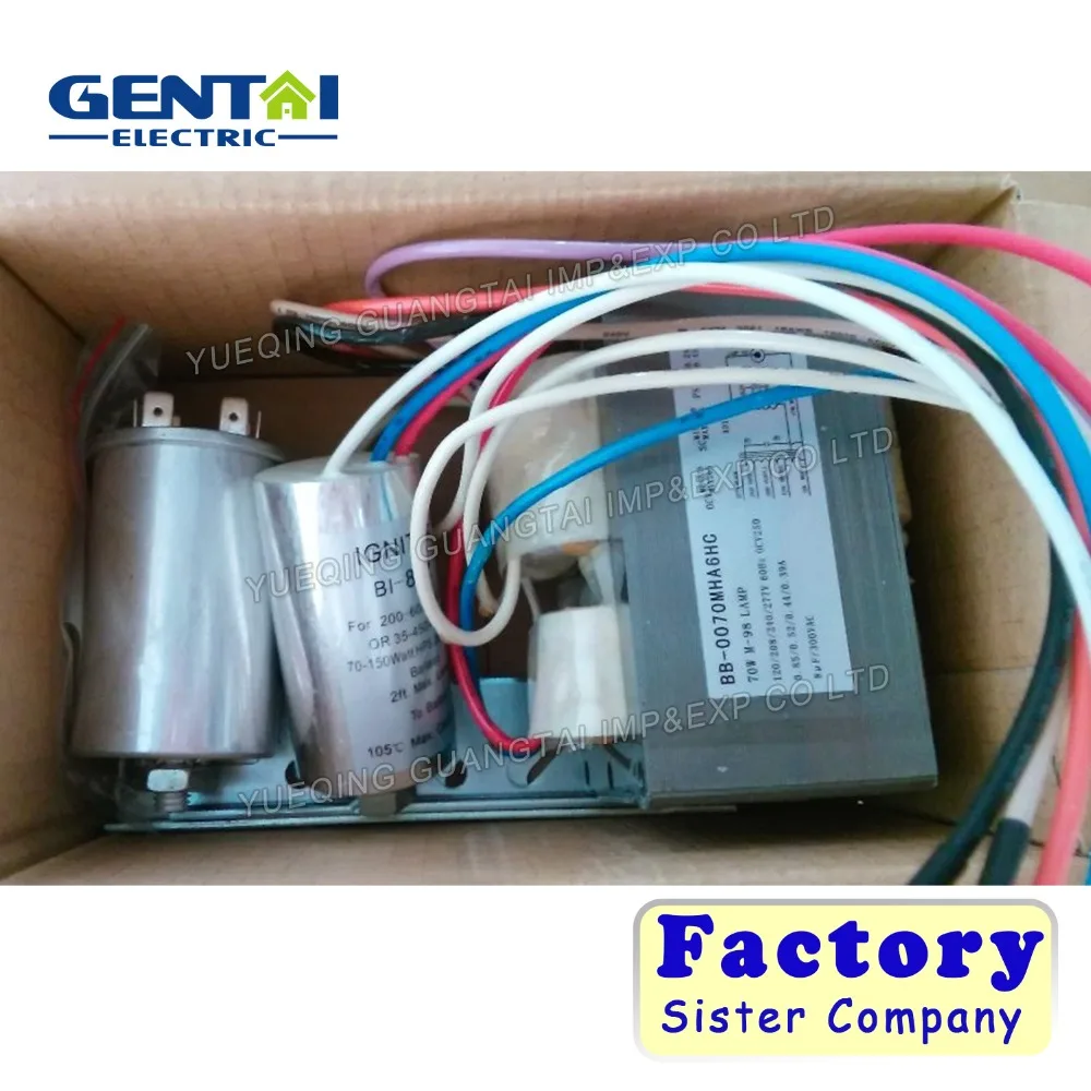 Lighting Ballast Factory HID Magnetic Ballast for Metal Halide Lamp High Pressure Sodium and Mercury Vapor Lamp Bulb